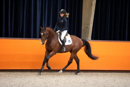 Galop foto Menno H (3)